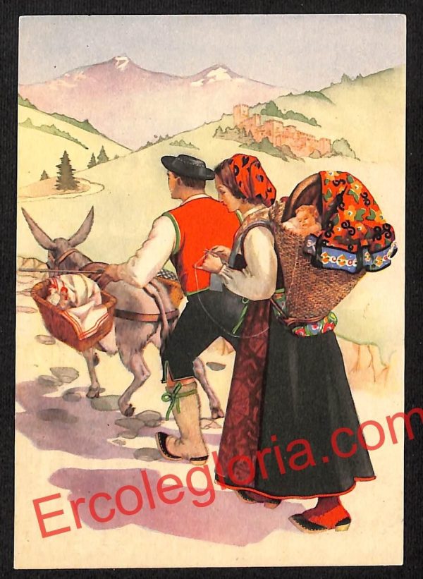 ai7037  - CARTOLINA D' EPOCA - Sondrio Provincia - Grosio