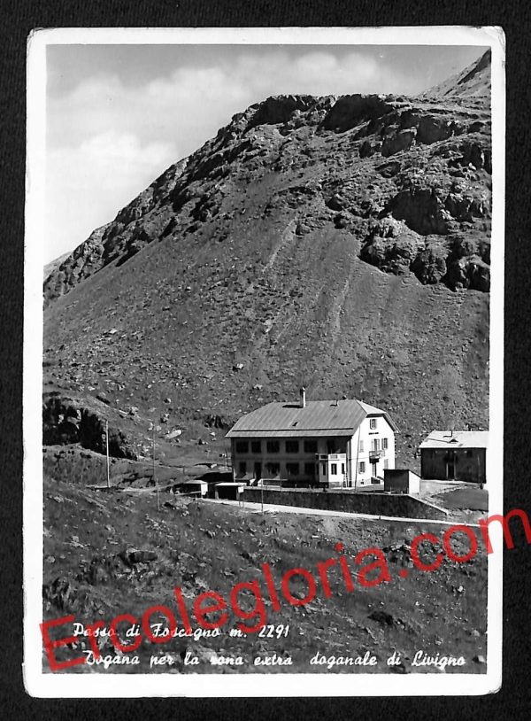 ai7134 - CARTOLINA D' EPOCA - Sondrio Provincia - Passo del Foscagno
