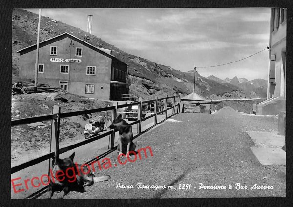 ai7136 - CARTOLINA D' EPOCA - Sondrio Provincia - Passo del Foscagno