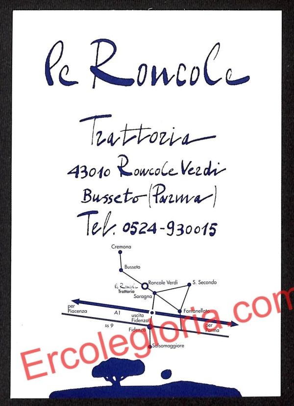 ah5337 - CARTOLINA D'EPOCA - Parma Città - Le Roncole