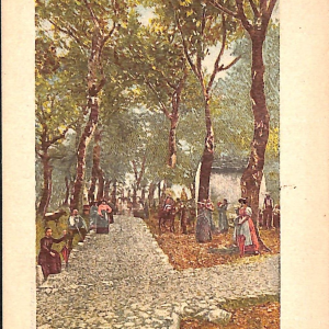 ab6552 - CARTOLINA  D'EPOCA - Como Provincia : ZELBIO 1910