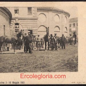 ae0670 - CARTOLINA  D'EPOCA - Asti Città - Fiera Equina