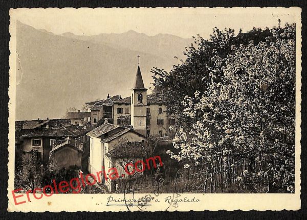 ai7150 - CARTOLINA D' EPOCA - Sondrio Provincia - Regaleda