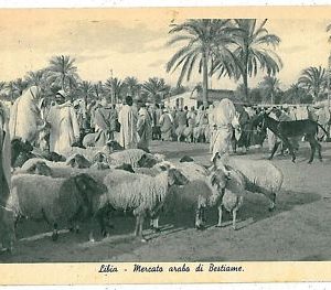 CARTOLINA d'Epoca - LYBIA LIBIA - MERCATO BESTIAME