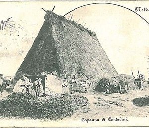 CARTOLINA d'Epoca - ROMA - NETTUNO 1902