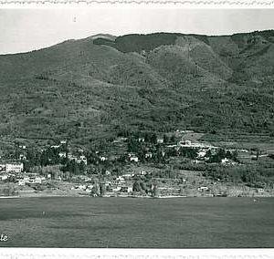 26396  CARTOLINA d'Epoca - VARESE : Gavirate 1956