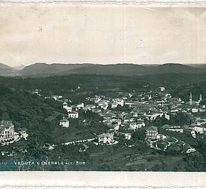 26671  CARTOLINA d'Epoca - VARESE : VIGGIU' 1953