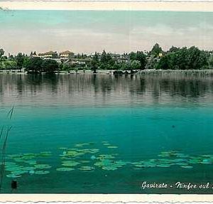 26394 - CARTOLINA d'Epoca - VARESE : Gavirate 1956