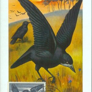 87601 -  AUSTRIA - Postal History - MAXIMUM CARD -  BIRDS  1955