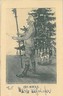 10311  CARTOLINA d'Epoca - TRENTO: NOMI - 1917