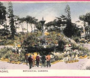 af8780 - HONG KONG -  VINTAGE POSTCARD - Botanical Gerden