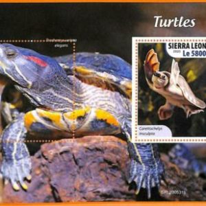 A6805 - SIERRA LEONA, Error, 2020, HOJA DE RECUERDO MISSPERF: Tortugas,...