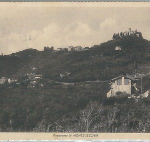 73303 - CARTOLINA d'Epoca - LECCO  provincia : MANGIANICO 1953