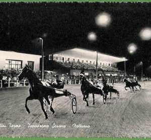ah2683 - ITALIA - VINTAGE POSTCARD - MONTECATINI TERME Horse Riding   - 1958