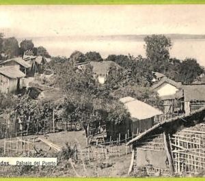 af0746 - ARGENTINA - Vintage Postcard - Posadas - Paisaje del Puerto