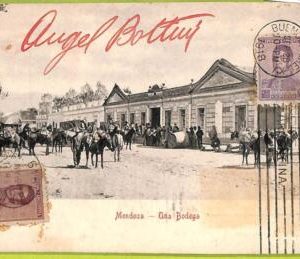 af0724 - ARGENTINA - Vintage Postcard - Mendoza - Una Botega - 1918