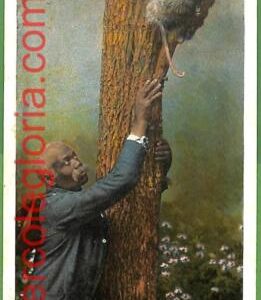 ah2074 - VINTAGE POSTCARD Postal Antigua - Ethnic American