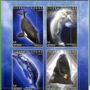 A2560 - SIERRA LEONE - ERROR: MISPERF, Miniatura hoja -2019 Ballenas, Vida...