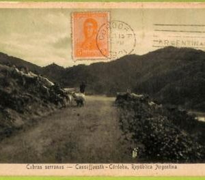 af0595 - ARGENTINA - Vintage Postcard -  Cordoba - Cabras serranas