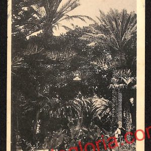 ai9330 - CARTOLINA D'EPOCA - Trapani Provincia - Marsala