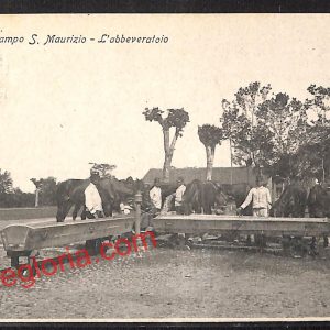 ai9162 - CARTOLINA D'EPOCA - Torino Provincia - San Maurizio Canavese