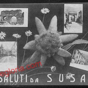 ai9168 - CARTOLINA D'EPOCA - Torino Provincia - Susa