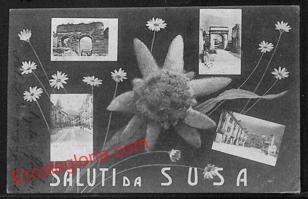ai9168 - CARTOLINA D'EPOCA - Torino Provincia - Susa