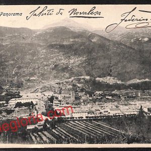 ai9169 - CARTOLINA D'EPOCA - Torino Provincia - Susa