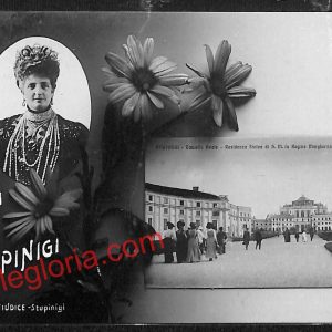 ai9191 - CARTOLINA D'EPOCA - Torino Provincia - Stupinigi