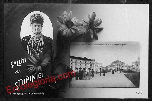ai9191 - CARTOLINA D'EPOCA - Torino Provincia - Stupinigi