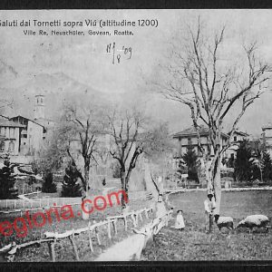 ai9223 - CARTOLINA D'EPOCA - Torino Provincia - Tornetti
