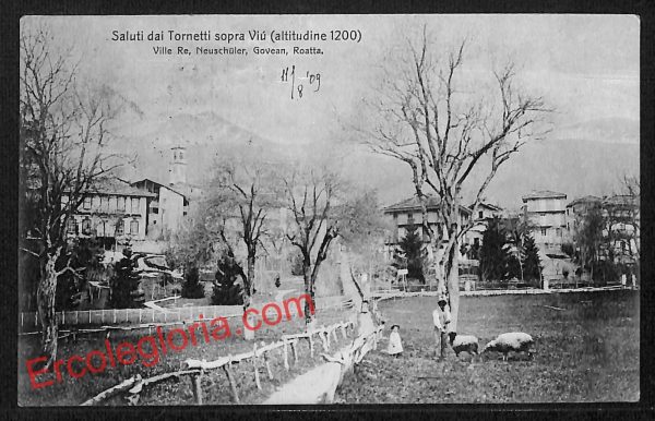 ai9223 - CARTOLINA D'EPOCA - Torino Provincia - Tornetti