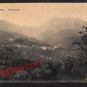ai9230 - CARTOLINA D'EPOCA - Torino Provincia - Viù