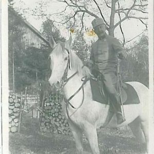 10001 - VINTAGE POSTCARD Ansichtskarten - Polen POLAND: Las Wolski 1915 PHOTOGRA