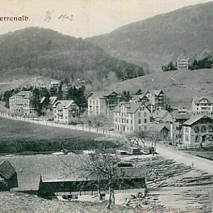 11757 - Ansichtskarten POSTCARD - Deutschland GERMANY - GRUSS AUS Bad Herrenalb