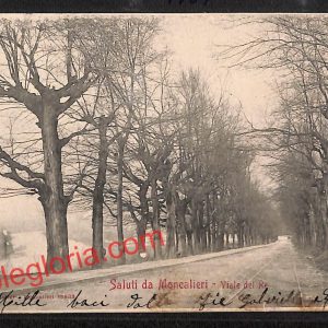 ai8999 - CARTOLINA D'EPOCA - Torino Provincia -  Moncalieri