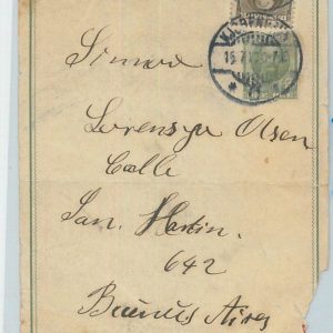 77621 - Denmark - POSTAL HISTORY -   STATIONERY WRAPPER to ARGENTINA 1910