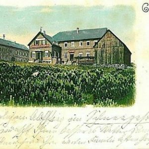 11710 - Ansichtskarten  POSTCARD - Deutschland GERMANY - GRUSS AUS Feldberg