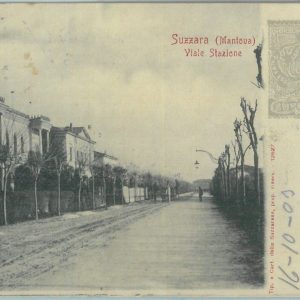 85780  - CARTOLINA d'Epoca -  MANTOVA provincia - SUZZARA Viale Stazione 1903
