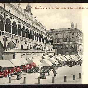 ah4063 - CARTOLINA D'EPOCA - Padova Città - Piazza delle Erbe
