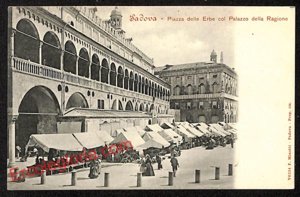 ah4063 - CARTOLINA D'EPOCA - Padova Città - Piazza delle Erbe
