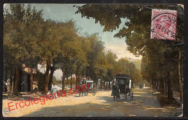 ai9031 - CARTOLINA D'EPOCA - Torino Provincia -  Novalesa