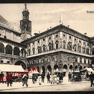ah4064 - CARTOLINA D'EPOCA - Padova Città - Municipio