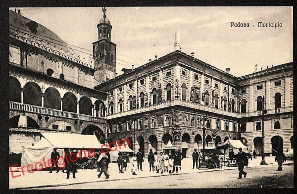 ah4064 - CARTOLINA D'EPOCA - Padova Città - Municipio