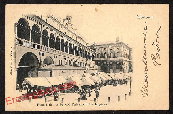 ah4069 - CARTOLINA D'EPOCA - Padova Città - Piazza dell' Erbe
