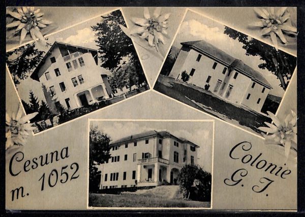ab4066 -  CARTOLINA  D'EPOCA - Vicenza  Provincia  -  Cesuna