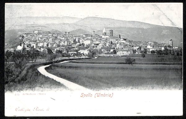 ac2886 - CARTOLINA  D'EPOCA - Perugia Provincia - SPELLO