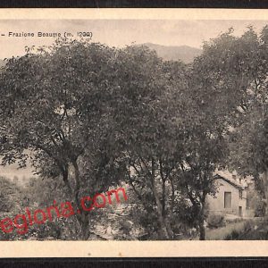 ai9035 - CARTOLINA D'EPOCA - Torino Provincia - Oulx