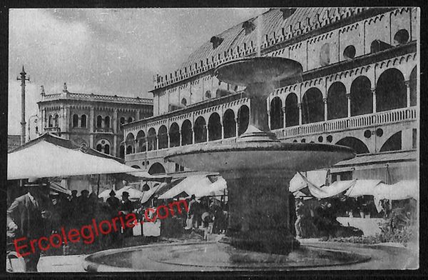 ah4083 - CARTOLINA D'EPOCA - Padova Città - Piazza delle Erbe