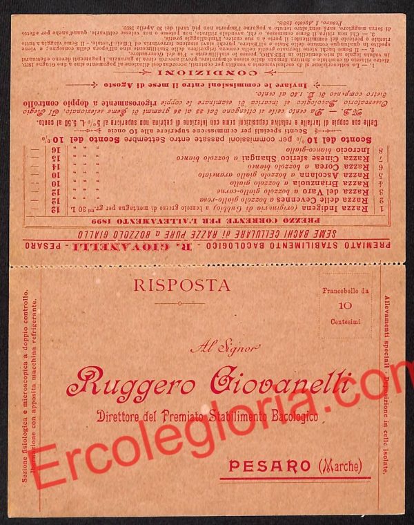 ah6523 - STORIA POSTALE - Pesaro Città - immagine 2